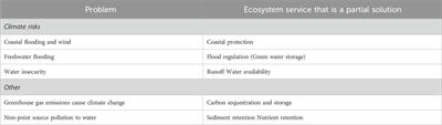 Win-wins or trade-offs? Site and strategy determine carbon and local ecosystem service benefits for protection, restoration, and agroforestry